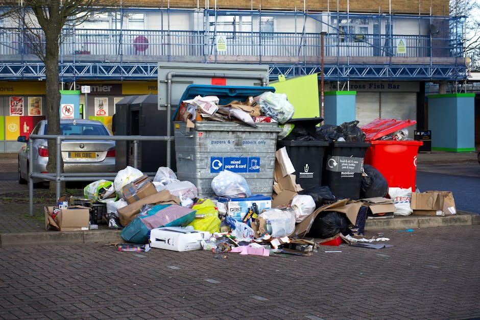 What to know about Wandsworth council business waste licences